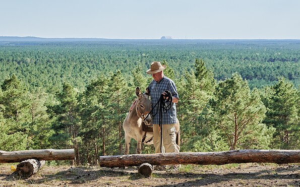 Hike in the Dahme-Heideseen Nature Park, Foto: Florian Trykowski, Lizenz: Tourismusverband Dahme-Seenland e.V.