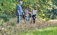 Hiking with donkey, Foto: Florian Trykowski, Lizenz: Tourismusverband Dahme-Seenland e.V.