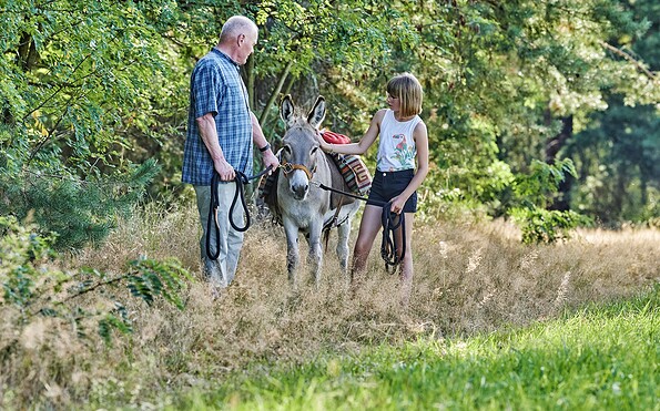 Hiking with donkey, Foto: Florian Trykowski, Lizenz: Tourismusverband Dahme-Seenland e.V.