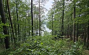 Blick auf den Wirchensee vom Försterblick, Foto: Dana Braun, Lizenz: Seenland Oder-Spree e.V.