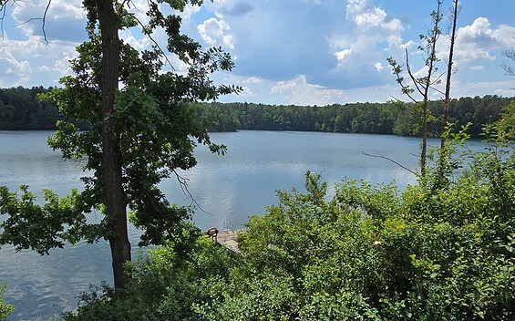 Blick auf den Wirchensee vom Försterblick, Foto: Dana Braun, Lizenz: Seenland Oder-Spree