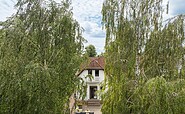 Foto: Steinbach, Lizenz: Steinbach
