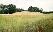 Luckau-Freesdorfer Borchelt, Foto: Claudia Donat, Lizenz: Naturpark Niederlausitzer Landrücken