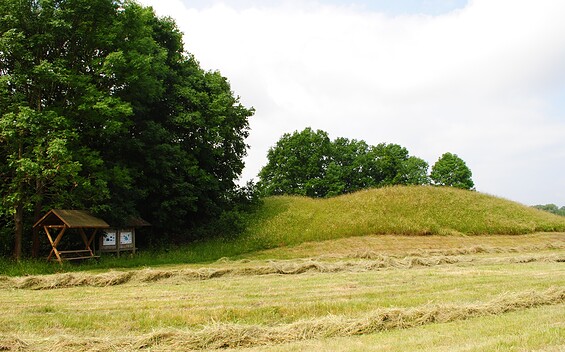 Slavic castle "Luckau-Freesdorfer Borchelt", Foto: Claudia Donat, Lizenz: Niederlausitzer Landrücken Nature Park