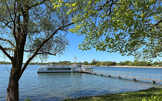 Weisse Muschel Prenzlau, Foto: Alena Lampe