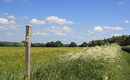Wander-Zwischenwegweiser am Wegesrand, Foto: Bansen-Wittig