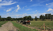 Der Naturpark-Wanderweg 12 führt durch eine abwechslungsreiche Landschaft, Foto: Bansen-Wittig