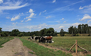 Der Naturpark-Wanderweg 12 führt durch eine abwechslungsreiche Landschaft, Foto: Bansen-Wittig