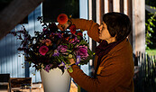 Kraut und Blüte im Herbst, Foto: Alex Schirmer
