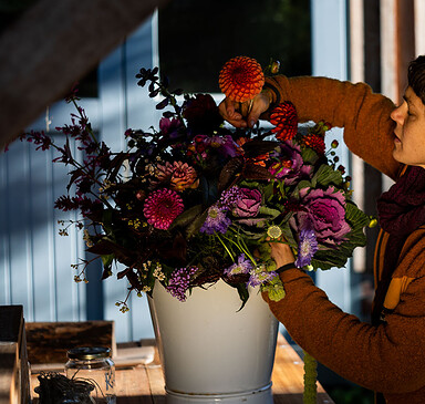 Kraut und Blüte - Flower field in the Oderbruch region
