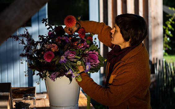 Kraut und Blüte in fall, Foto: Alex Schirmer