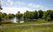 Der Schwanenteich, Foto: Laila Wentworth, Lizenz: Laila Wentworth