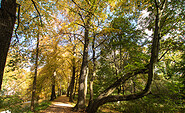 Wanderweg in Spremberg, Foto: Laila Wentworth, Lizenz: Laila Wentworth