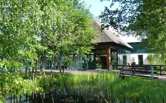 Spreewald tourism association
