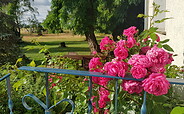 Blick in den Park, Foto: Müller, Lizenz: Müller
