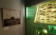 Stadt- und Regionalmuseum Perleberg - Ausstellung &quot;VorZeiten - 12000 Jahre Leben in der Prignitz&quot;, Foto: T. Foelsch, Lizenz: Tourismusverband Prignitz e.V.