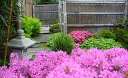 ROJI Japanische Gärten - Neben kleineren Gartenteilen findet sich auch die Bonsaisammlung. Im Juni blühen hier die Azaleen, Foto: Gesine Jochems, Lizenz: Gesine Jochems