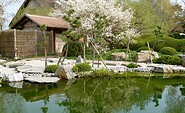 ROJI Japanische Gärten - Die Teichanlage beherbergt viele, handzahme Koi-Karpfen, Foto: Gesine Jochems, Lizenz: Gesine Jochems
