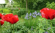 ROJI Japanische Gärten - Der Blumen-und Gemüsegarten ist das Gegenteil vom japanischen Gartenteil. Hier blüht ab April immer etwas..., Foto: Gesine Jochems, Lizenz: Gesine Jochems