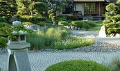 ROJI Japanische Gärten - Der Trockenlandschaftsgarten ist das Herzstück der ganzen Anlage - viele geschnittenen Büsche, gestaltete Kiefern, Felsen und geharkter Kies , Foto: Gesine Jochems, Lizenz: Gesine Jochems