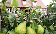 Garten Schuberts Oderbruch Landpension, Foto: Ramona Schubert, Lizenz: Ramona Schubert