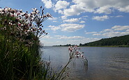Ausflug an die Oder, Foto: Ramona Schubert, Lizenz: Ramona Schubert