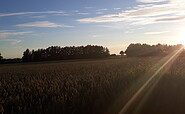 Aussicht Schuberts Oderbruch Landpension, Foto: Ramona Schubert, Lizenz: Ramona Schubert