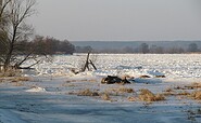 Oder bei Zollbrücke im Winter, Foto: Ramona Schubert, Lizenz: Ramona Schubert