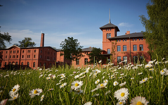 Landgut Stober - Ensemble of buildings with manor house, granary and distillery in the background, Foto: Darek Gontarski, Lizenz: Darek Gontarski