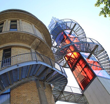 Biorama Project Viewing Platform 