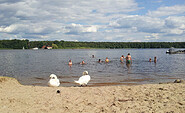Natural Bathing Area Eichwalde, Foto: Petra Förster, Lizenz: Tourismusverband Dahme-Seenland e.V.