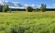 Wierichwiesen in Bad Saarow, Foto: Tourismusverein Scharmützelsee e.V.