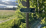Wierichwiesen in Bad Saarow, Foto: Tourismusverein Scharmützelsee e.V.