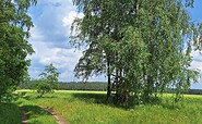 Wanderweg, Foto: Andrea Bogner, Lizenz: Andrea Bogner