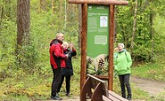 Waldwanderweg mit Schautafel, Foto: Cordula Schladitz, Lizenz: Cordula Schladitz