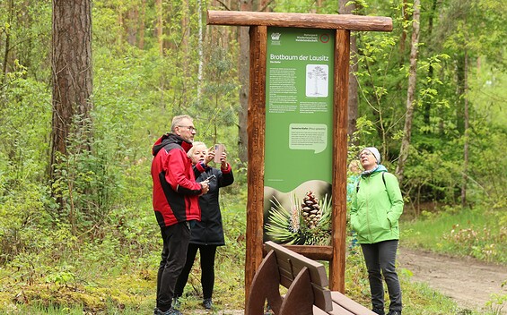 Waldwanderweg mit Schautafel, Foto: Cordula Schladitz, Lizenz: Cordula Schladitz