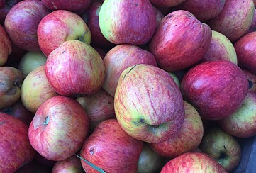 Hofladen Gutshof Kraatz Kelterobst, Foto: Florian Profitlich