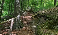 Abstieg vom Augustablick zum Peetschsee, Foto: Jörg Bartz, Lizenz: Tourismusverband Ruppiner Seenland e.V.