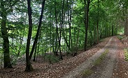 Wanderweg entlang des Peetschsees, Foto: Jörg Bartz, Lizenz: Tourismusverband Ruppiner Seenland e.V.