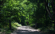 Weg zum Angelteich, Foto: Bansen-Wittig