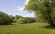 Belziger Burgwiesen, Foto: Bansen-Wittig