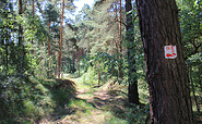 Baummarkierung, Foto: Bansen-Wittig