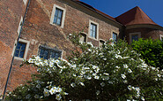 Burg Eisenhardt in Bad Belzig, Foto: Bansen-Wittig