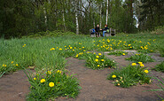 Rastplatz am Kunstwerk &quot;Gartenbild&quot;, Foto: Bansen-Wittig