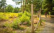 Schönower Heide, Foto: Michél Schmidt, Lizenz: BeSt Bernauer Stadtmarketing GmbH