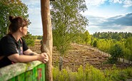 Schönower Heide, Foto: Michél Schmidt, Lizenz: BeSt Bernauer Stadtmarketing GmbH