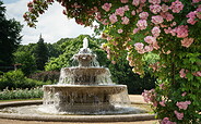 Ostdeutscher Rosengarten in Forst (Lausitz), Foto: Yorck Maecke, Lizenz: TMB Tourismus-Marketing Brandenburg GmbH