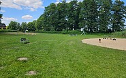 Liegewiese, Foto: Franziska Schwarz, Lizenz: Amt Joachimsthal (Schorfheide)