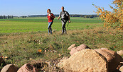 Weite Landschaftsblicke am Terrainkurweg TK 7 in Bad Belzig, Foto: Bansen-Wittig
