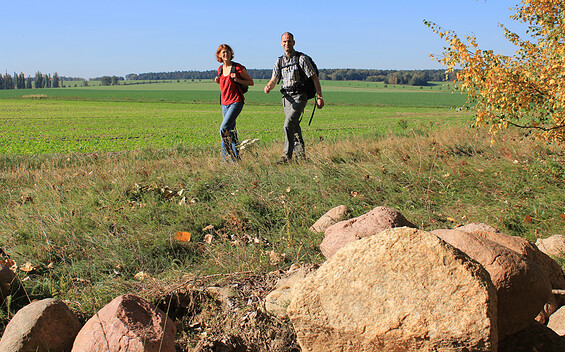 Terrainkurweg TK 7 Bad Belzig